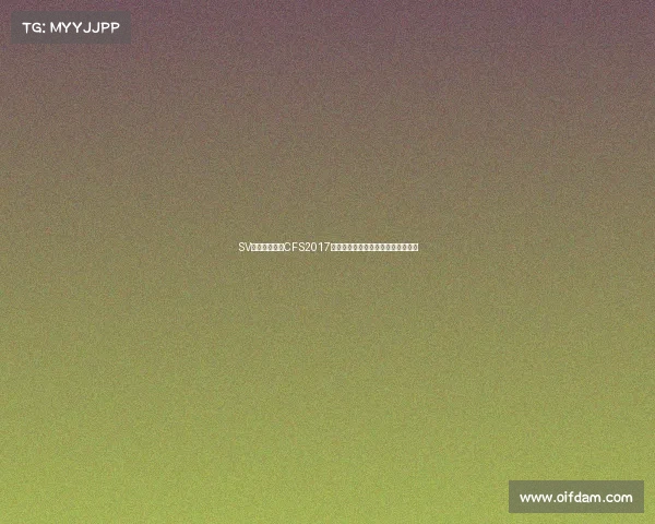 SV战队西安加冕CFS2017全球总冠军，勇者之心铸就电竞传奇